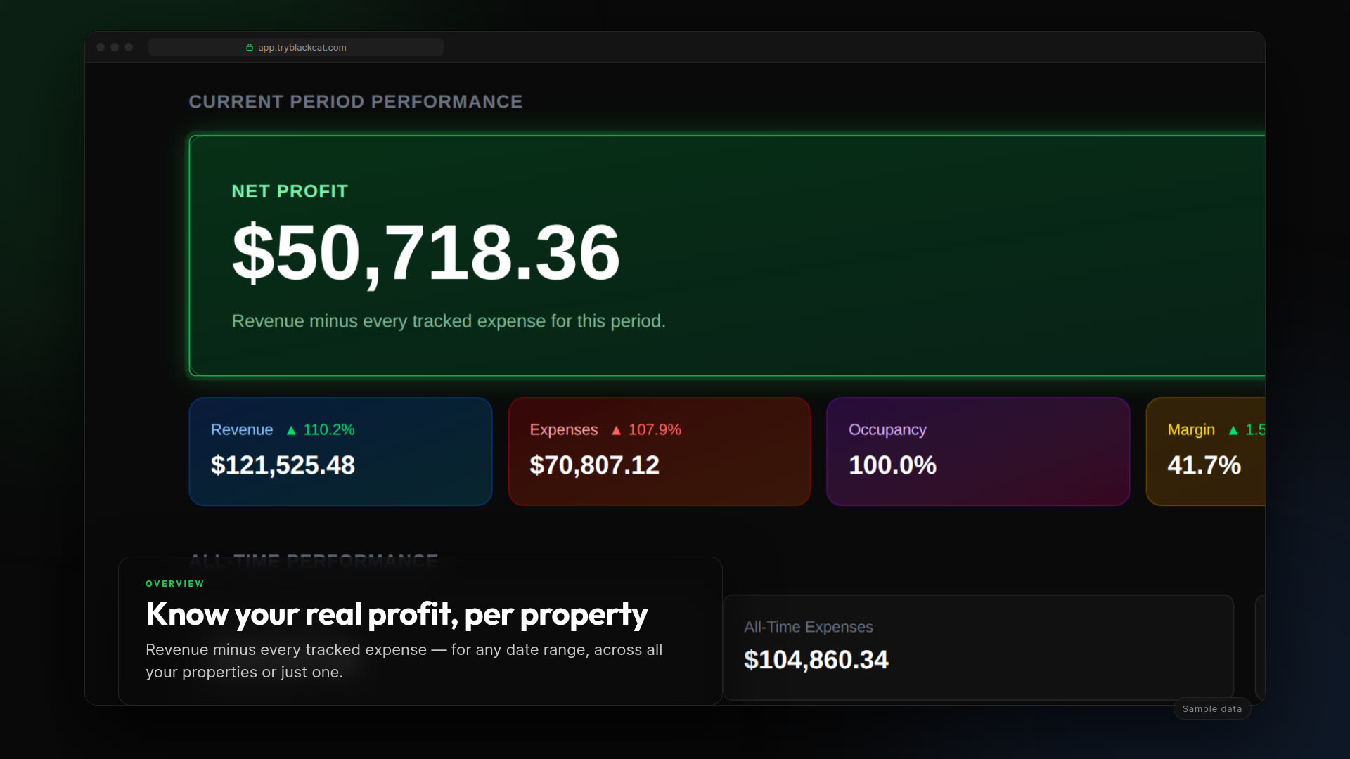 Black Cat Analytics overview showing year-to-date net profit, revenue, expenses, occupancy and margin for a three-property short-term rental portfolio